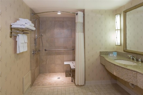 Hampton Inn Buffalo-Williamsville , NY 14221 near Buffalo Niagara International Airport View Point 23
