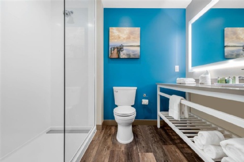 Cambria Hotel Mount Pleasant - Charleston , SC 29464 near Charleston Cruise Port View Point 19