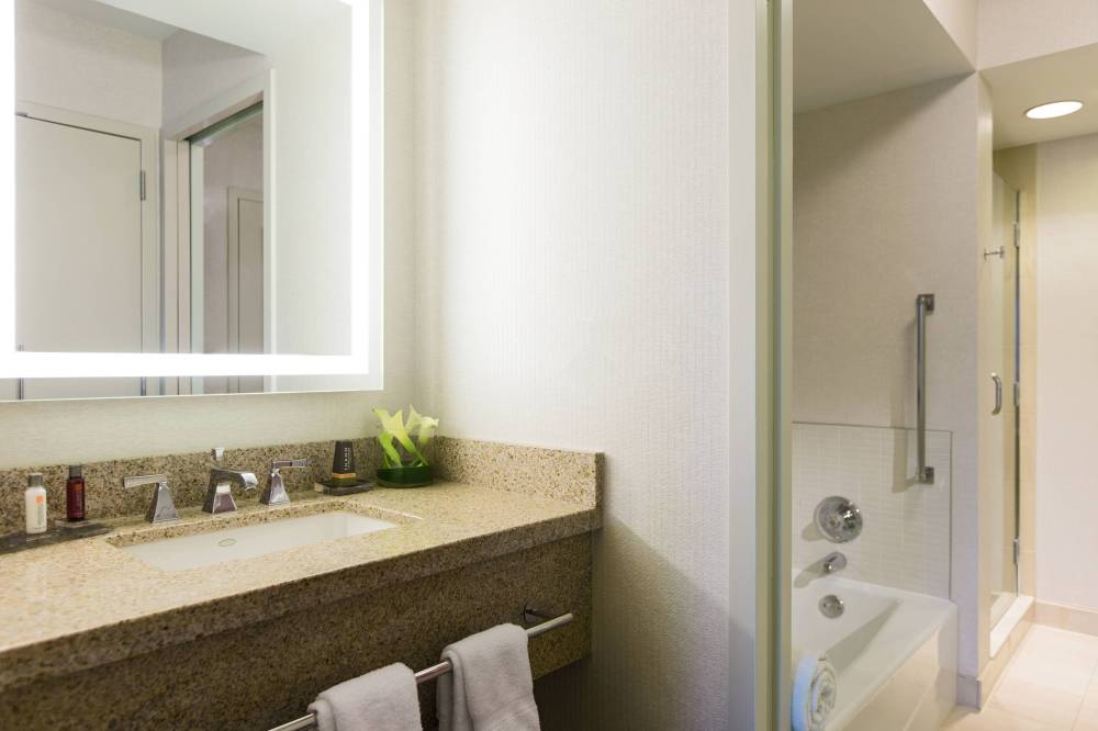 Suite Bathroom