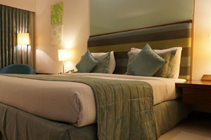 Americas Best Value Inn Romulus Detroit Airport